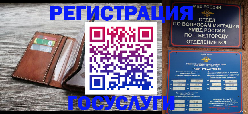 временная регистрация гарантия в Заполярном